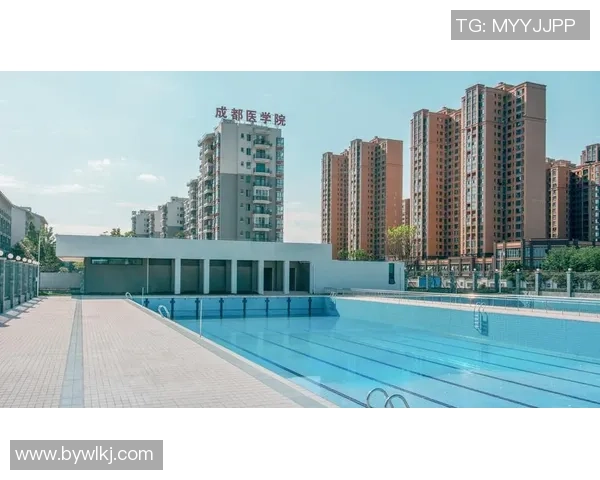 成都篮球队的奋斗历程与荣耀时刻全景纪实